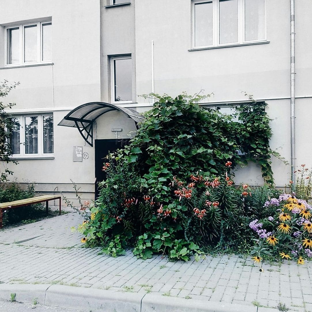 Fliederhof Waldorfkindergarten 10