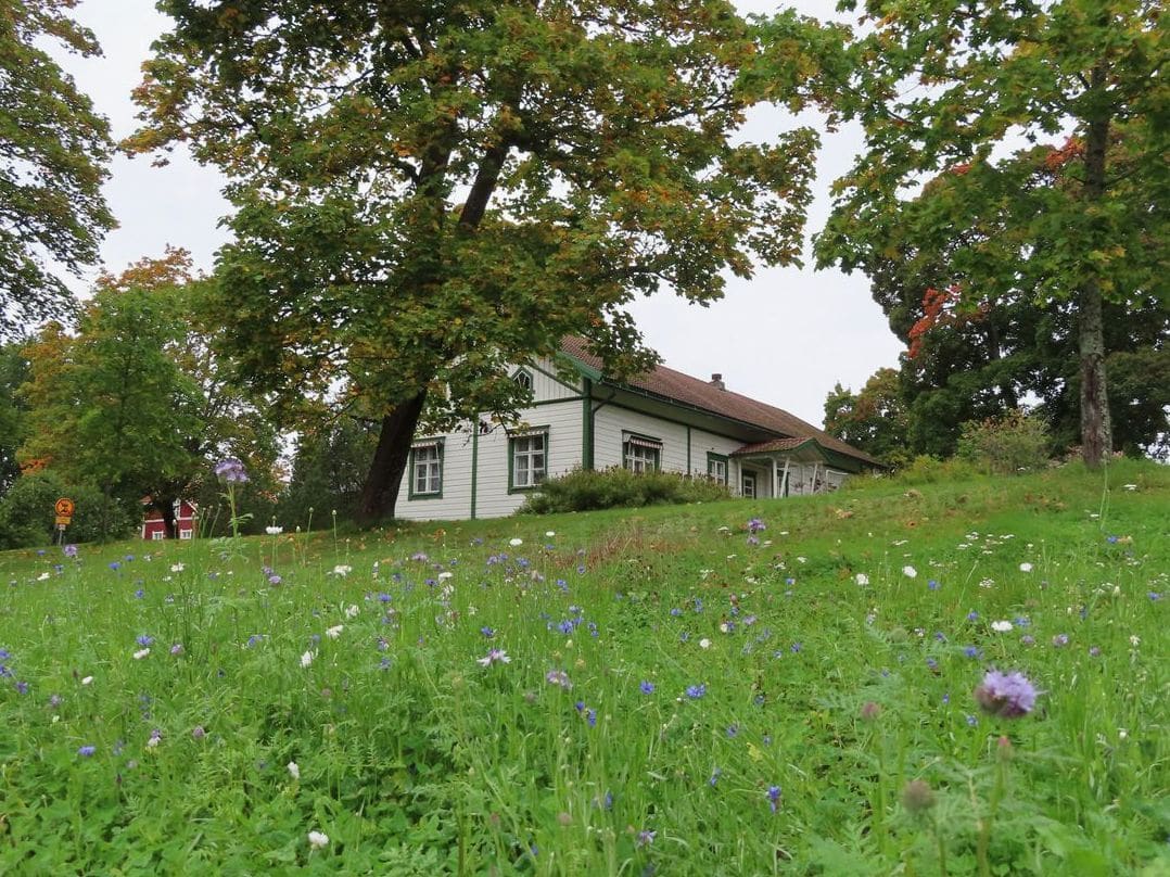 Fliederhof Waldorfkindergarten 7